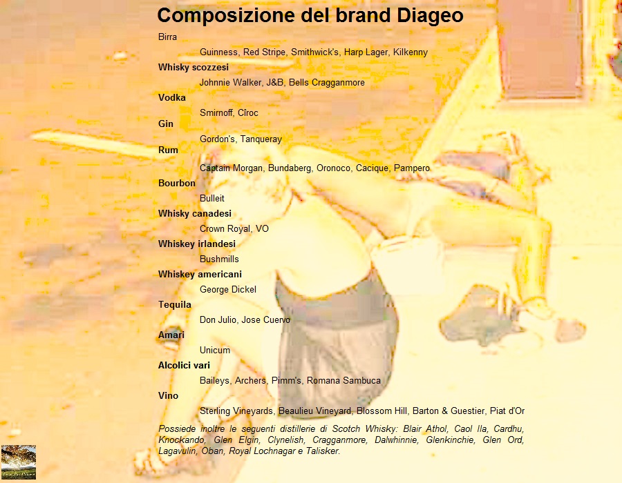 Cesec-CondiVivere 2015.07.09 Partecipazioni Diageo