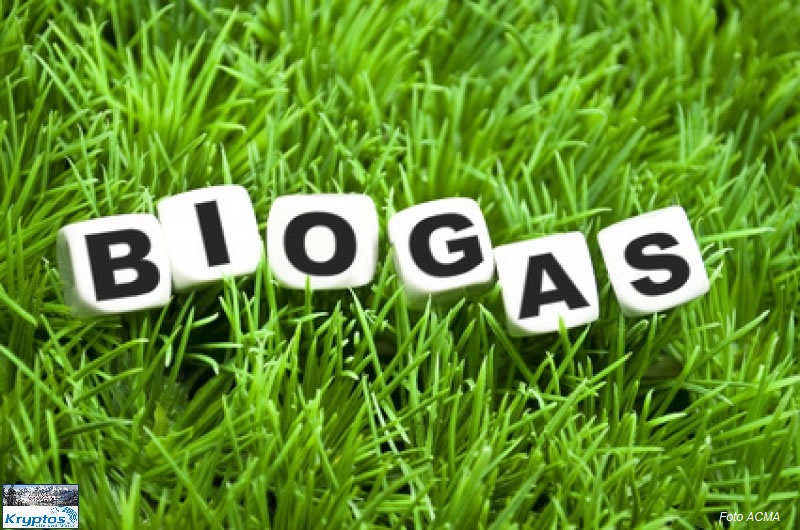 KL Cesec CV 2014.02.04 Biogas